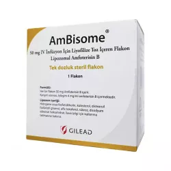 Амбизом (амфотерицин В) Ambisome порошок для инъекций 50мг 1шт в Тюмени и области фото